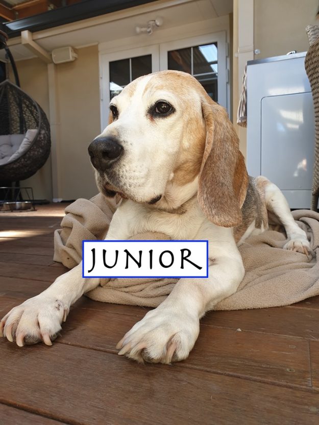 Juni