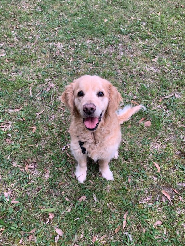 Darcy